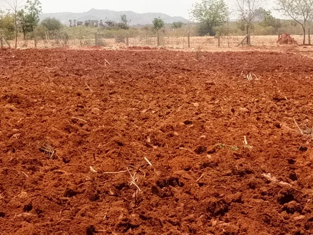 Root Acre | Agricultural land in Gandi Maisamma